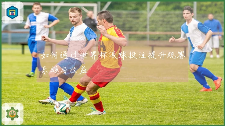 如何通过世界杯滚球投注提升观赛乐趣与收益
