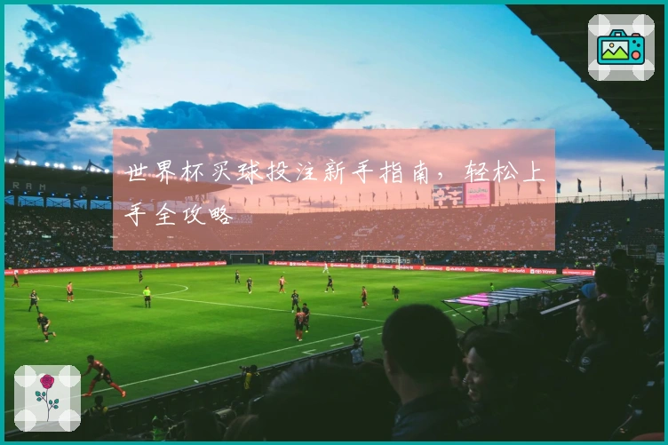 世界杯买球投注新手指南，轻松上手全攻略