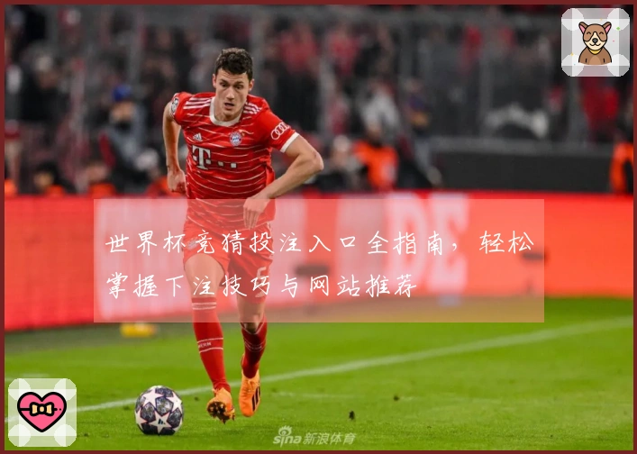 世界杯竞猜投注入口全指南，轻松掌握下注技巧与网站推荐