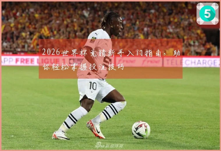 2026世界杯竞猜新手入门指南，助你轻松掌握投注技巧