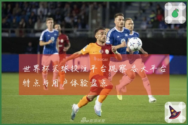世界杯买球投注平台观察 各大平台特点与用户体验盘点