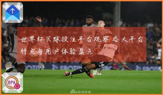 世界杯买球投注平台观察 各大平台特点与用户体验盘点