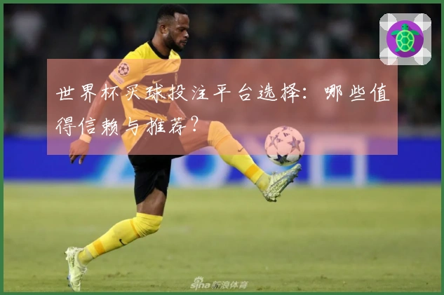世界杯买球投注平台选择：哪些值得信赖与推荐？