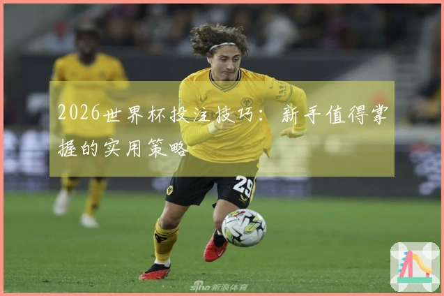 2026世界杯投注技巧：新手值得掌握的实用策略