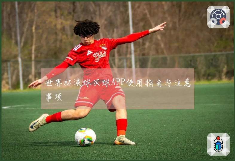 世界杯滚球买球APP使用指南与注意事项