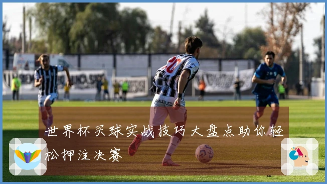 世界杯买球实战技巧大盘点助你轻松押注决赛