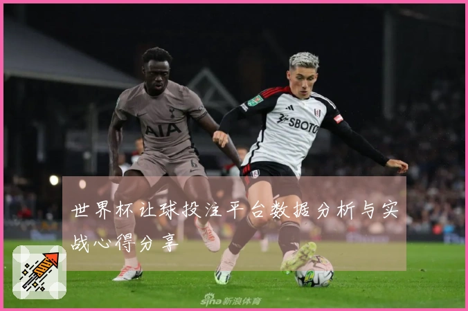 世界杯让球投注平台数据分析与实战心得分享