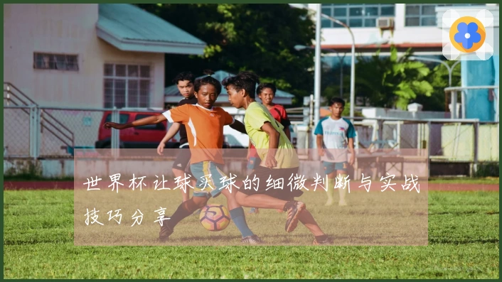 世界杯让球买球的细微判断与实战技巧分享