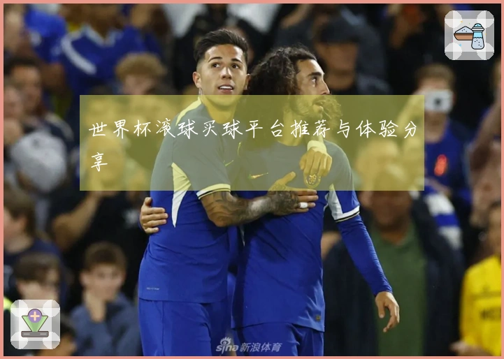 世界杯滚球买球平台推荐与体验分享