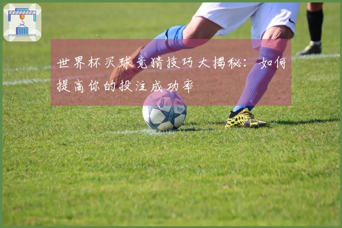 世界杯买球竞猜技巧大揭秘：如何提高你的投注成功率
