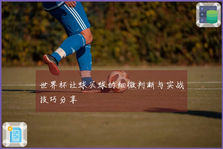 世界杯让球买球的细微判断与实战技巧分享